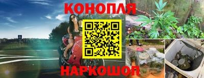 дистиллят марихуана Будённовск