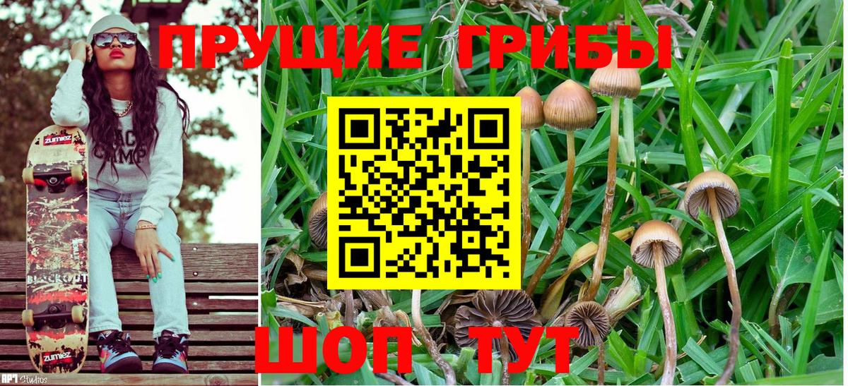 Галлюциногенные грибы MAGIC MUSHROOMS  Галлюциногенные грибы Cubensis  Вход с VPN  Советская Гавань 